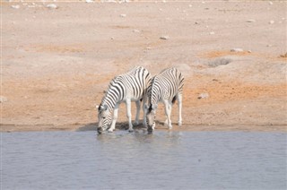 Namibia weather forecast