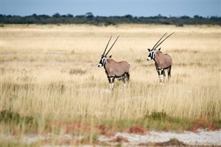 Namibia weather forecast