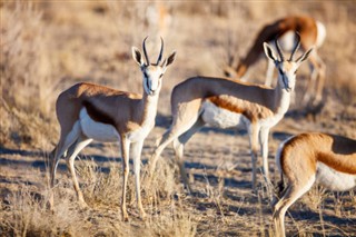 Namibia weather forecast