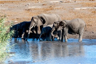 Namibia weather forecast