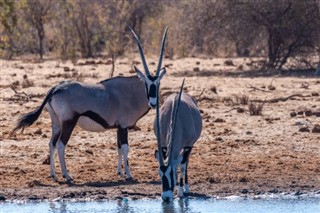 Namibija vremenska prognoza