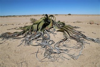 Namibia pronóstico del tiempo