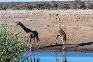 Namibia weather forecast