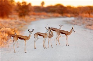 Namibia weather forecast