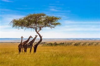 Namibia weather forecast