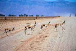 Namibia weather forecast