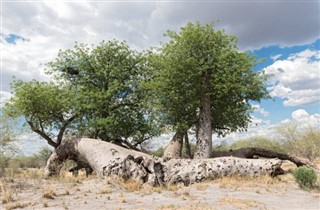 Namibia weather forecast