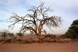 Namibia weather forecast