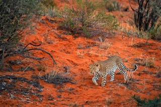 Namibia weather forecast