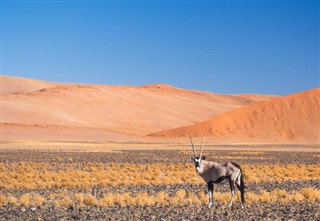 Namibia weather forecast