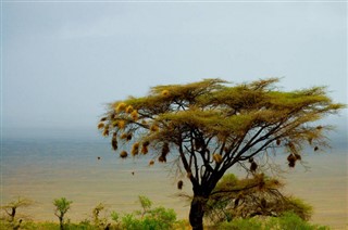 Namibia pronóstico del tiempo