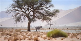 Namibia weather forecast