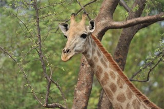 Namibia prognoza pogody