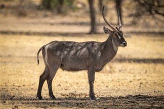 Namibia sääennuste