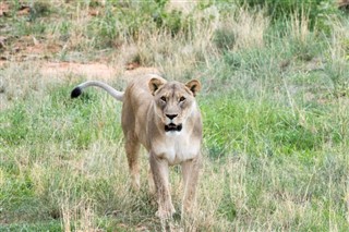 Namibia prognoza pogody