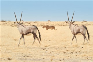 Namibia prognoza pogody