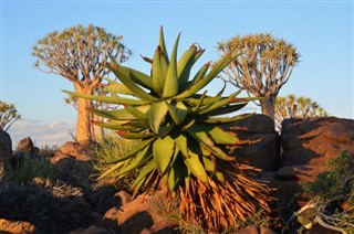 Namibia weather forecast