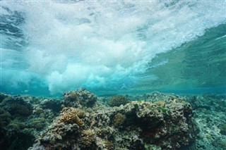 Nauru weather forecast