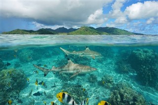 Nauru pronóstico del tiempo