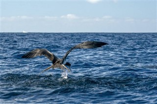 Nauru weather forecast