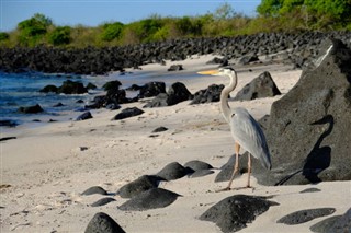 Nauru weather forecast