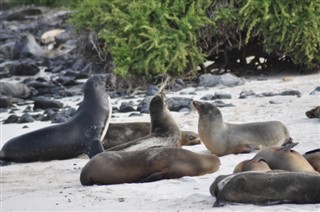 Nauru prognoza pogody