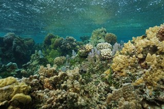 Isla Navassa pronóstico del tiempo