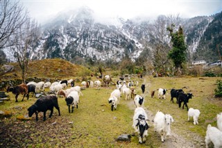 Nepal weather forecast