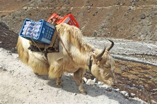 Nepal weather forecast