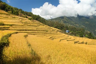 Nepal prognoza pogody