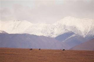 Nepal weather forecast