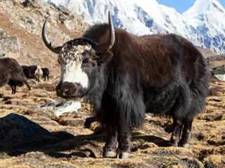 Nepal weather forecast