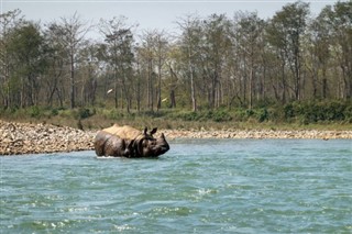 Nepal weather forecast