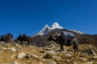 Nepal weather forecast