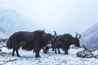 Nepal weather forecast