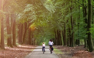 Netherlands weather forecast