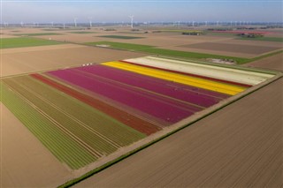 Netherlands weather forecast