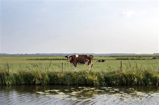 Netherlands weather forecast