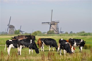 Netherlands weather forecast