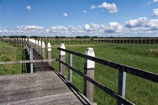 Netherlands weather forecast