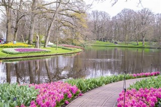 Netherlands weather forecast