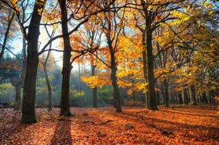 Netherlands weather forecast