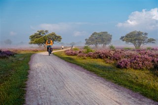 Netherlands weather forecast