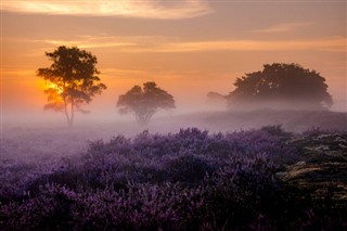 Netherlands weather forecast