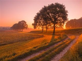 Netherlands weather forecast