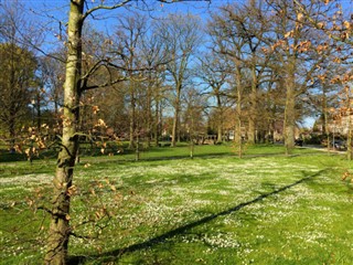 Netherlands weather forecast