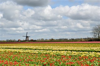 Netherlands weather forecast