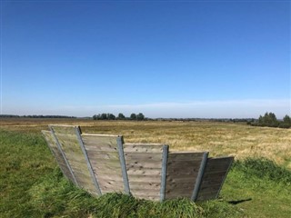 Netherlands weather forecast