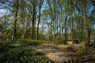 Netherlands weather forecast