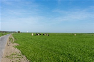 Netherlands weather forecast